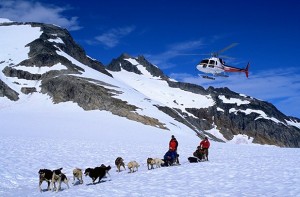 book-tour-summer-glacier-dogsledding
