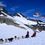 book-tour-summer-glacier-dogsledding