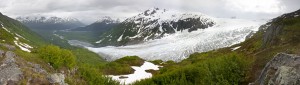 harding_icefield_trail1200